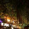 Отель Primrose Guest house, фото 10