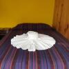 Отель Hostal Oasis The Traveler - Hostel, фото 14