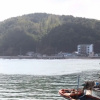 Отель Yeongdeok Gaemitongkku Pension, фото 27