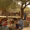 Отель Kay El Bar Guest Ranch, фото 15