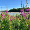 Отель Susitna River Lodging, фото 13