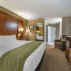 Отель Comfort Inn Romeoville - Bolingbrook, фото 6
