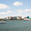Отель Moody Gardens Hotel, Spa and Convention Center, фото 29