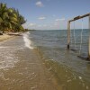 Отель Jungle Jeanies Beach Cabanas, фото 10