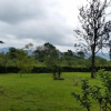 Отель Meru Simba Lodge, фото 3