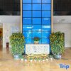 Отель Hujing Business Hotel, фото 4