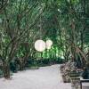 Отель Tiny House in Authentic Japanese Koi Garden in Florida, фото 15