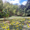 Отель Posada Aguanile Finca la Diana, фото 12