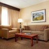 Отель DoubleTree Suites by Hilton Hotel Cincinnati - Blue Ash, фото 15