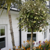 Отель The Devonshire Park Hotel, фото 17