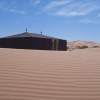 Отель Night Desert Camp, фото 19