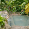 Отель Chachagua Rainforest Hotel & Hot Springs, фото 16