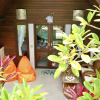 Отель Jungle Paradise, фото 9