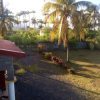 Отель Apartment With one Bedroom in Capesterre Belle Eau, With Enclosed Garden and Wifi - 8 km From the Be, фото 9