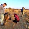 Отель Thorn Tree Bush Camp, фото 24