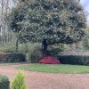 Отель Charming 2-bed Cottage, Beautiful Views, Knutsford, фото 17