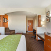 Отель Comfort Suites Stevensville - St. Joseph, фото 29