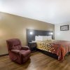 Отель Econo Lodge Live Oak, фото 33
