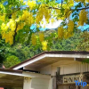 Отель UrbanView Bnky Bed and Breakfast Palawan by RedDoorz, фото 8