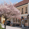 Отель Gasthof zur Kirche, фото 1
