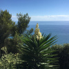 Отель B&B Le Palme, фото 8