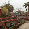 Отель Atithya Resort, фото 1