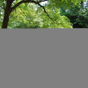 Отель Between Homes? We are Pet Friendly and offer Flexible Stays., фото 17