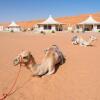 Отель Desert Nights Camp, фото 14