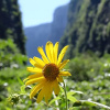 Отель Pousada e Camping Nativos dos Canyons, фото 8