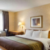 Отель Quality Inn, фото 3