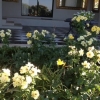 Отель Amanzi Guest House, фото 13