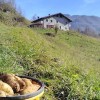 Отель Agriturismo Cascina Cornella, фото 4