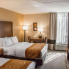 Отель Comfort Inn Northeast, фото 6