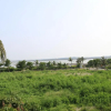 Отель Harmony Guest House, фото 13
