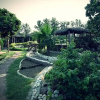 Отель The Gold Palace & Resorts, фото 38