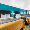 Отель Quality Inn & Suites Tarpon Springs South, фото 46