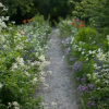 Отель Hälsingegården Erik-Anders, фото 3
