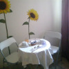 Отель B&B Carmen, фото 13