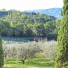 Отель Agriturismo I Getsemani, фото 10