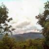 Отель Tanna Volcano View Treehouse, фото 8