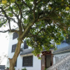 Отель Siyuan Shangju Hostel, фото 3