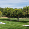 Отель Ave 54 - Paradiso in La Quinta, фото 24