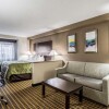 Отель Quality Inn & Suites, фото 11