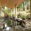 Отель Kamiyu Onsen Club, фото 10