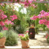 Отель Masseria Casa Nostra, фото 9