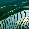 Отель Yuelai Courtyard Hotel (Longsheng Longji Terrace Observation Deck), фото 12