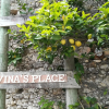 Отель Vina's Place, фото 1