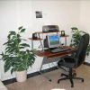 Отель Regency Inn and Suites San Antonio, фото 10
