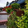 Отель Olympic View Cottage, фото 1