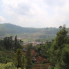 Отель Green mount resort, фото 12